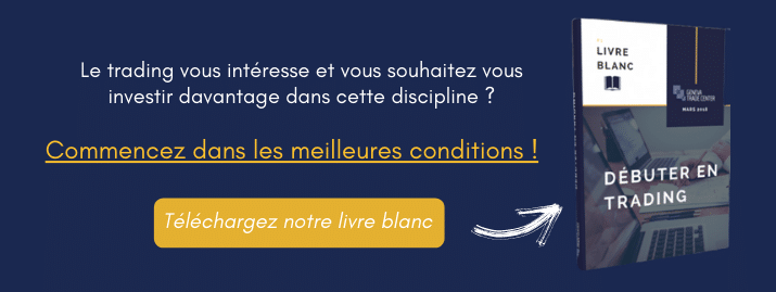 World Trading Skool livre blanc